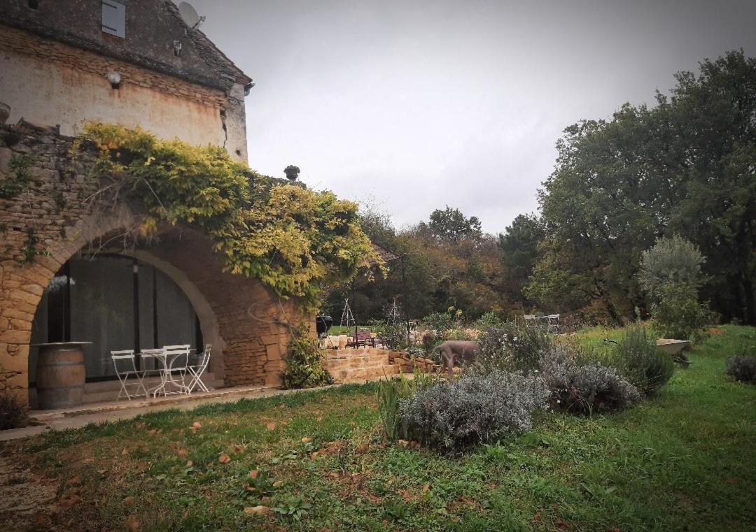 Charmant Studio Dans Maison D'Hote Dans Un Ecrin De Verdure Saint-Martin-le-Redon Dış mekan fotoğraf