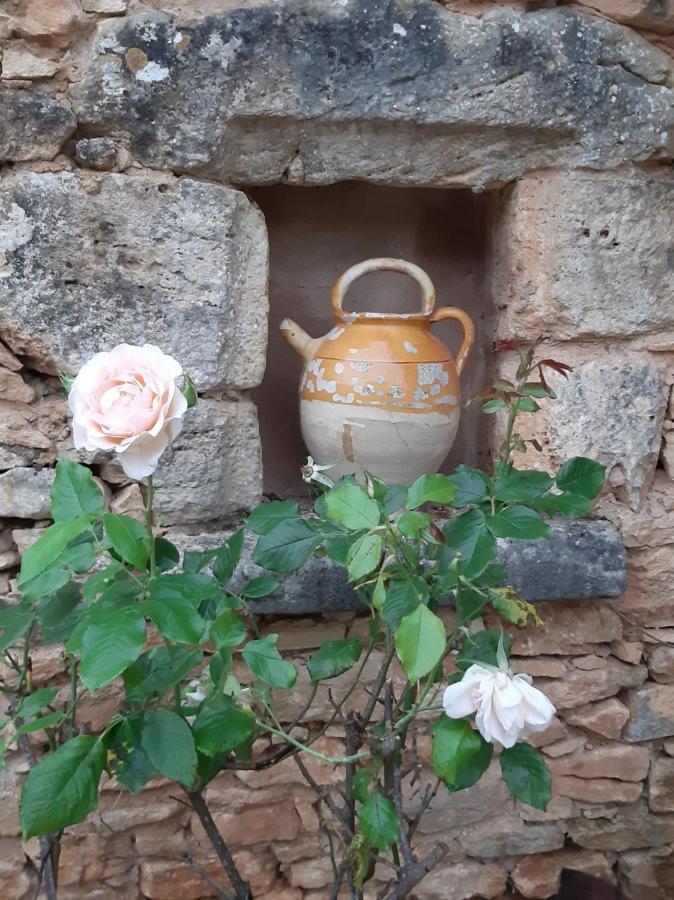 Charmant Studio Dans Maison D'Hote Dans Un Ecrin De Verdure Saint-Martin-le-Redon Dış mekan fotoğraf