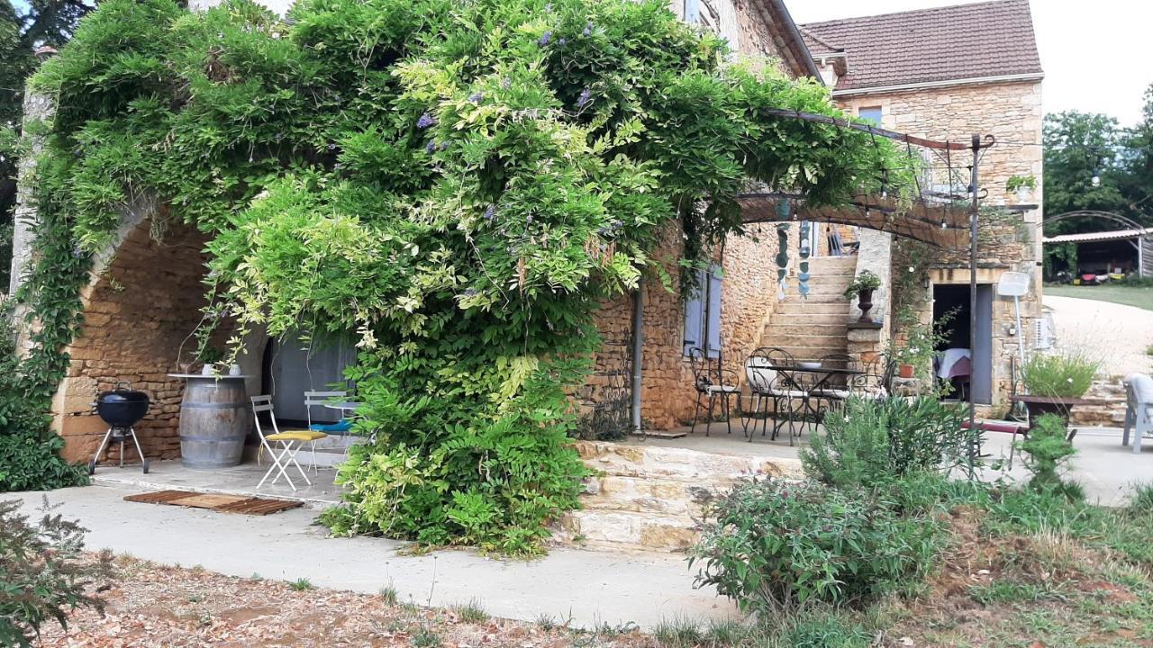 Charmant Studio Dans Maison D'Hote Dans Un Ecrin De Verdure Saint-Martin-le-Redon Dış mekan fotoğraf