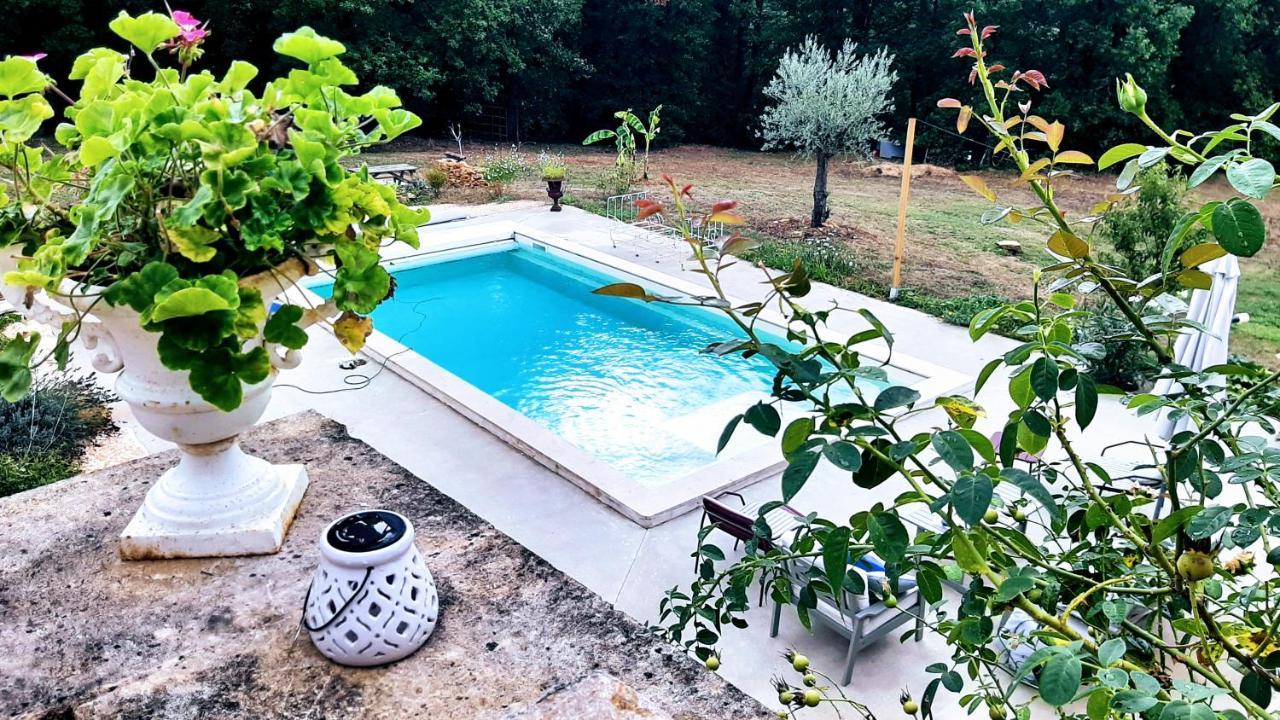 Charmant Studio Dans Maison D'Hote Dans Un Ecrin De Verdure Saint-Martin-le-Redon Dış mekan fotoğraf